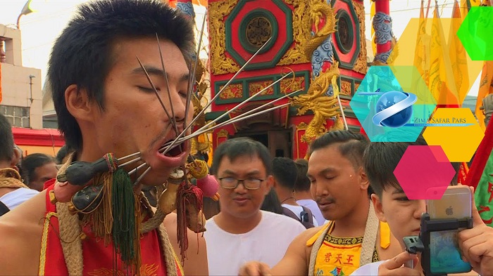 گیاهخواران دیوانه وارترین کارها را انجام می دهند